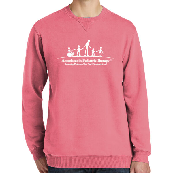 APT - Beach Wash ® Garment Dyed Crewneck Sweatshirt Thumbnail